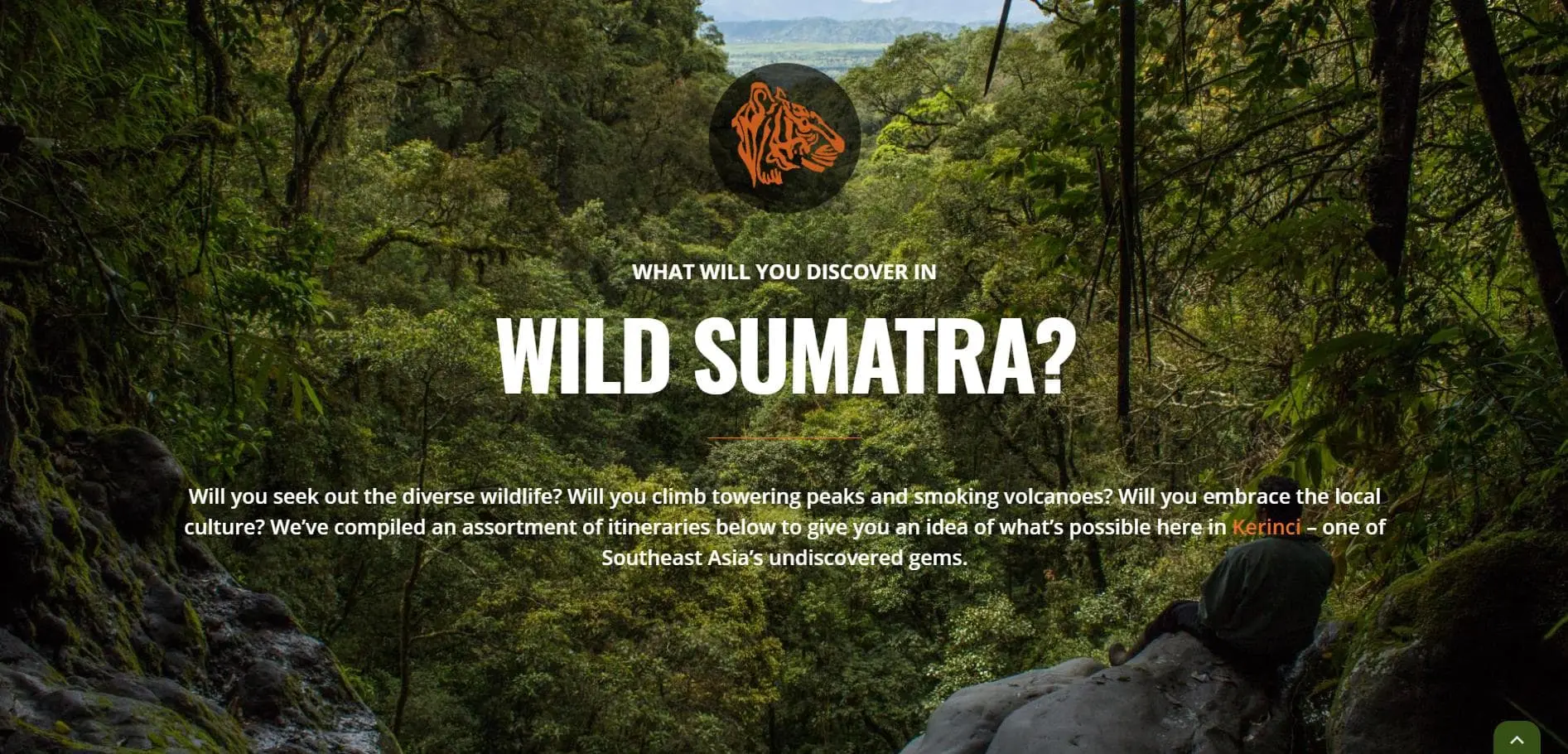 Sumatra Wild Nature